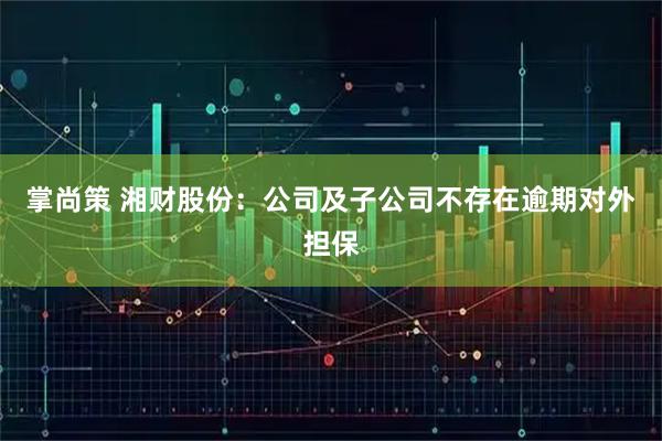 掌尚策 湘财股份：公司及子公司不存在逾期对外担保