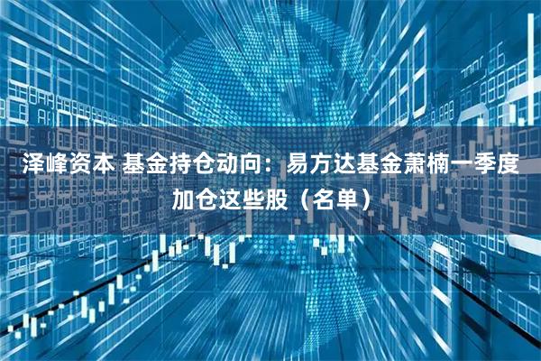 泽峰资本 基金持仓动向：易方达基金萧楠一季度加仓这些股（名单）