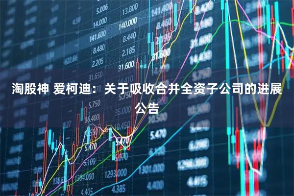 淘股神 爱柯迪：关于吸收合并全资子公司的进展公告