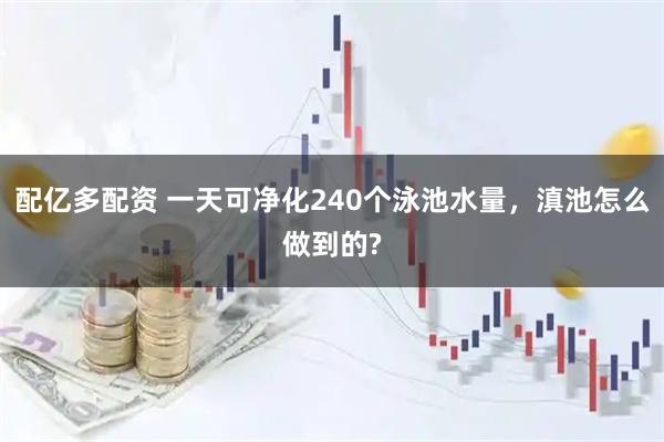 配亿多配资 一天可净化240个泳池水量，滇池怎么做到的?