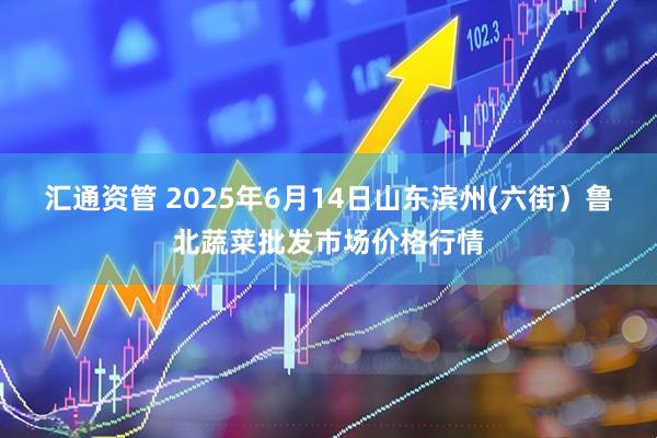 汇通资管 2025年6月14日山东滨州(六街)鲁北蔬菜批发市场价格行情