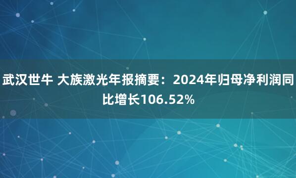 武汉世牛 大族激光年报摘要：2024年归母净利润同比增长106.52%