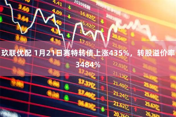 玖联优配 1月21日赛特转债上涨435%，转股溢价率3484%