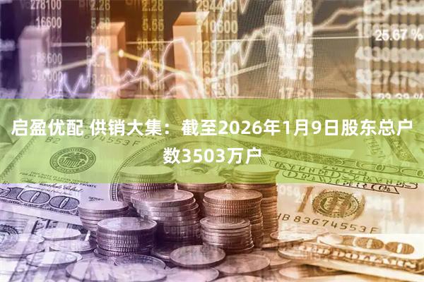 启盈优配 供销大集：截至2026年1月9日股东总户数3503万户