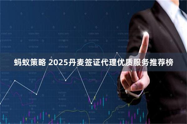 蚂蚁策略 2025丹麦签证代理优质服务推荐榜